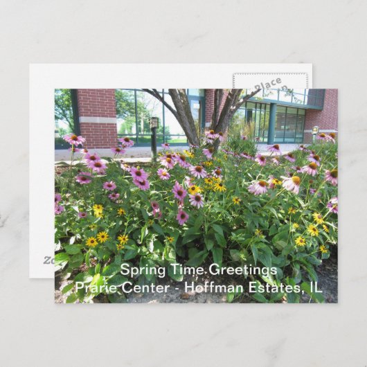 Hoffman Estates, Illinois Prarie Center Greeting P Briefkaart (Voorkant / Achterkant)