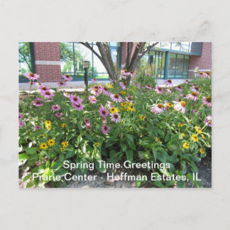 Hoffman Estates, Illinois Prarie Center Greeting P Briefkaart