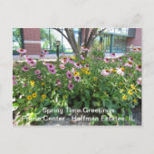 Hoffman Estates, Illinois Prarie Center Greeting P Briefkaart (Voorkant)