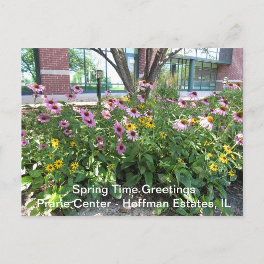 Hoffman Estates, Illinois Prarie Center Greeting P Briefkaart (Voorkant)