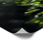 Hoffmann's tweesporige slang poster (Hoek)