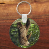 Hoffmann's tweesporige slang sleutelhanger (Voorkant)