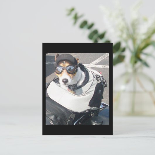 Hog Dog Briefkaart (Staand voorkant)