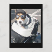 Hog Dog Briefkaart (Voorkant)