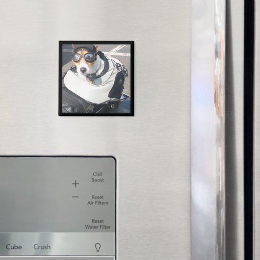 Hog Dog-koelkast Magnet (Insitu (Koelkast))