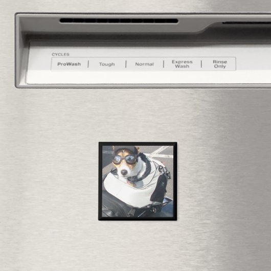 Hog Dog-koelkast Magnet (Insitu (Vaatwasser))