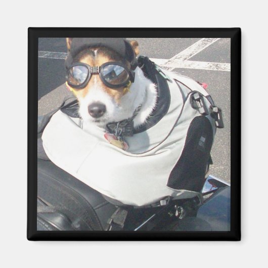 Hog Dog-koelkast Magnet (Voorkant)