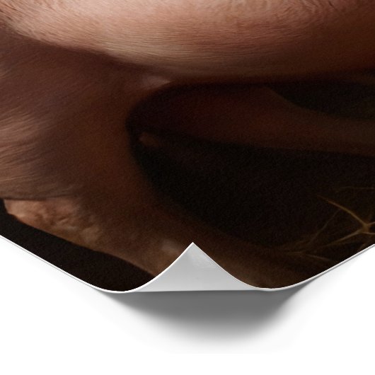 Hog Farmers Poster (Hoek)