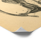 Hog Pig Interne Anatomy 1908 Print (Hoek)