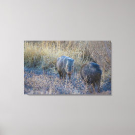 Hog Wild Canvas Afdruk