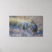 Hog Wild Canvas Afdruk (Voorkant)