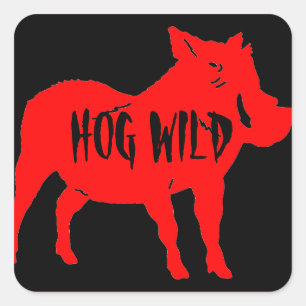HOG WILD HELMET STICKERS PKG VAN 20