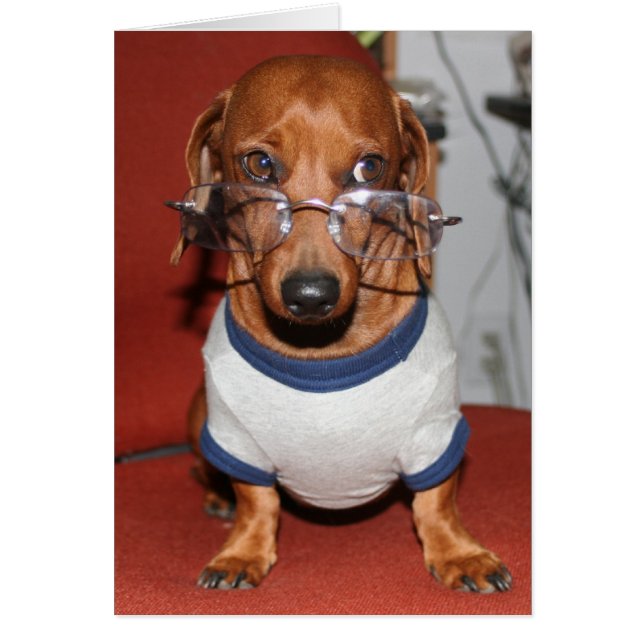 hoganzenkaart (Voorkant)