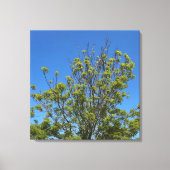 Hoge as boom in de prachtige blauwe lucht foto canvas afdruk (Voorkant)