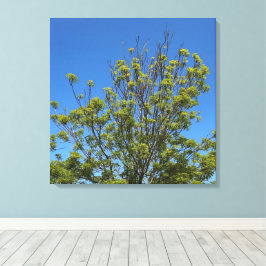 Hoge as boom in de prachtige blauwe lucht foto canvas afdruk
