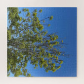 Hoge as boom in de prachtige blauwe lucht foto legpuzzel (Horizontaal)