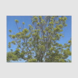 Hoge as boom in de prachtige blauwe lucht foto tissuepapier