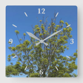 Hoge as boom in de prachtige blauwe lucht foto vierkante klok