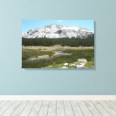 Hoge Bergstroom I Canvas Afdruk (Insitu (Houten vloer))
