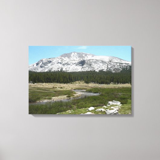Hoge Bergstroom I Canvas Afdruk (Voorkant)