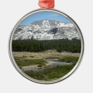 Hoge Bergstroom I Metalen Ornament