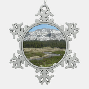Hoge Bergstroom I Tin Sneeuwvlok Ornament