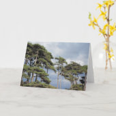 Hoge bomen met blauwe hemel blanco kaart (Gele Bloem)