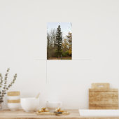 Hoge Boom Foto Poster (Keuken)