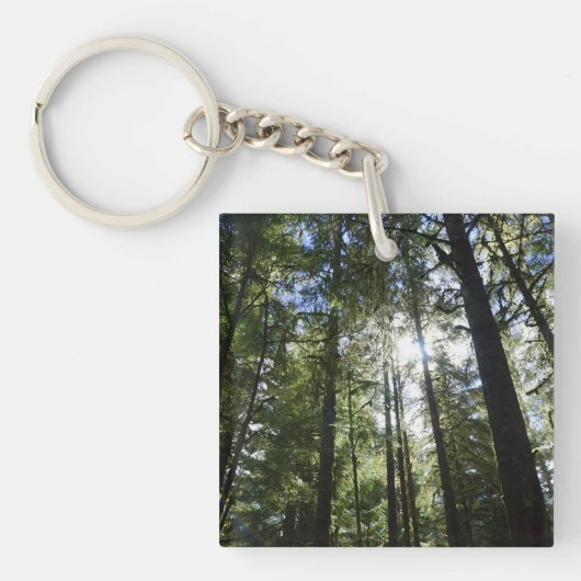 Hoge Dennen Sleutelhanger (voorkant)