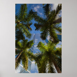 Hoge gebouwen poster