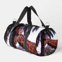 Hoge Giraffe-verhalen Onder De Palmboom,