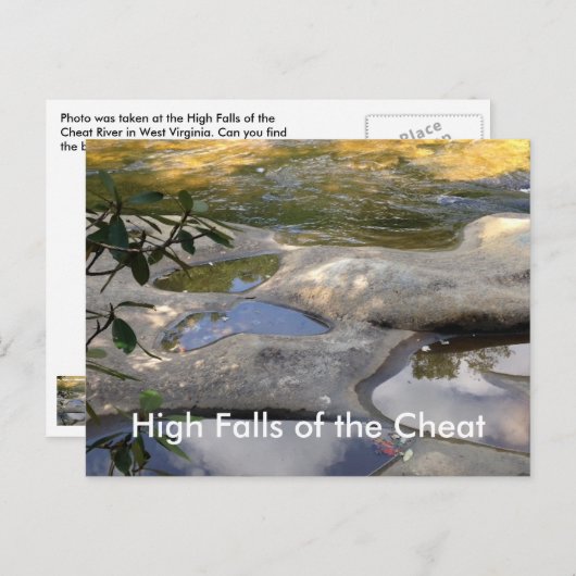 Hoge Herfsten Cheat River Butterfly Rock Briefkaar Briefkaart (Voorkant / Achterkant)