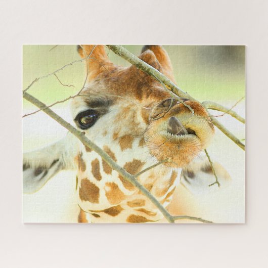HOGE HOOP 16x20 DUIM Legpuzzel (Horizontaal)