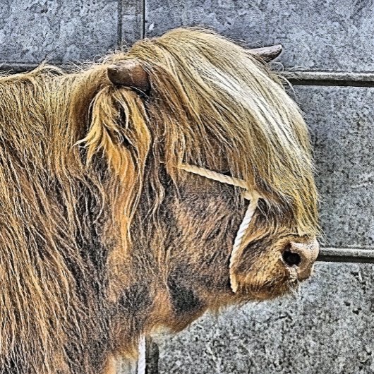 HOGE KOE BUTTON FLESOPENER