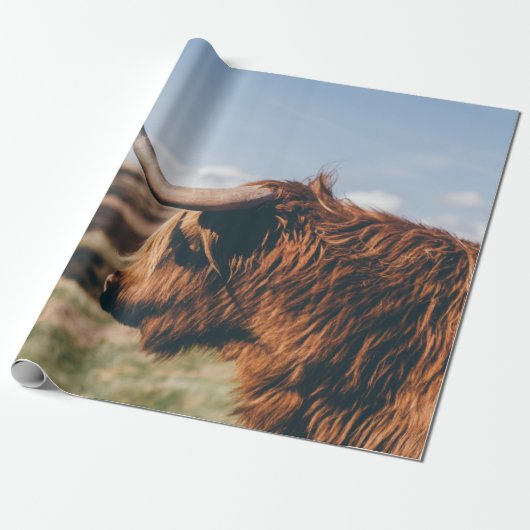 HOGE KOE CADEAUPAPIER (Uitgerold)
