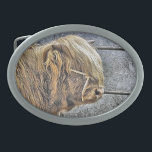 HOGE KOE GESP<br><div class="desc">Een kunstontwerp van een prachtige Highland Koe.</div>