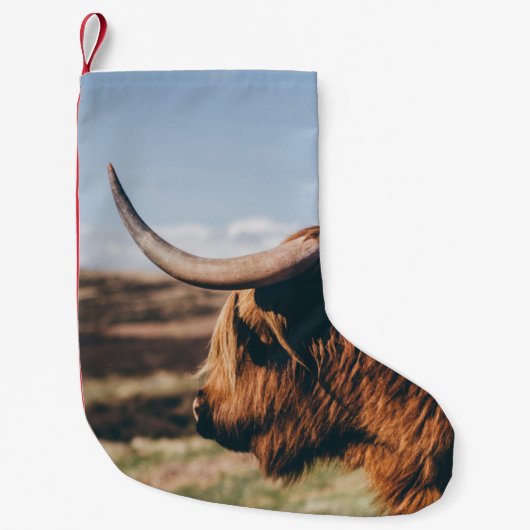 HOGE KOE KLEINE KERSTSOK (Voorkant)