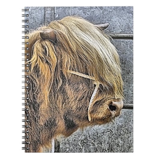 HOGE KOE NOTITIEBOEK (Voorkant)