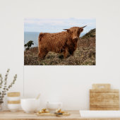 HOGE KOE, SCOTLAND POSTER (Keuken)