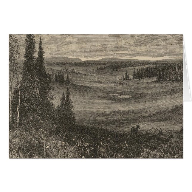 Hoge plateaus (Voorkant Horizontaal)