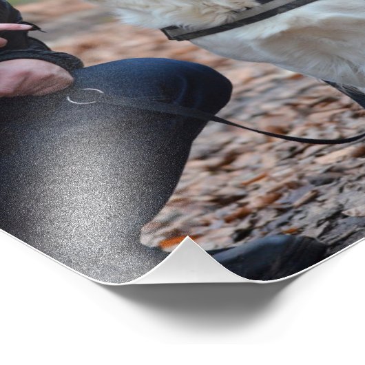 Hoge resolutie Pas de uitbreiding aan Foto Afdruk (Hoek)