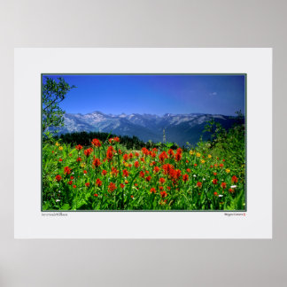 Hoge Sierra Nevada wilde bloemen Poster