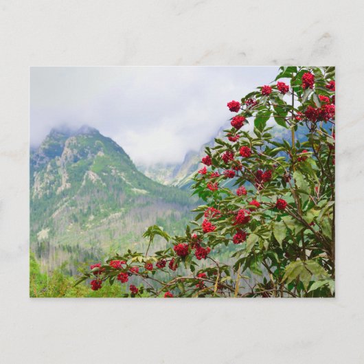Hoge Tatras Slowakije Briefkaart (Voorkant)