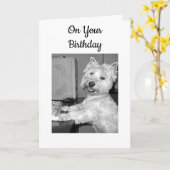 ****HOGE TECH*** ZELDAG WENSEN VAN WESTIE KAART (Gele Bloem)