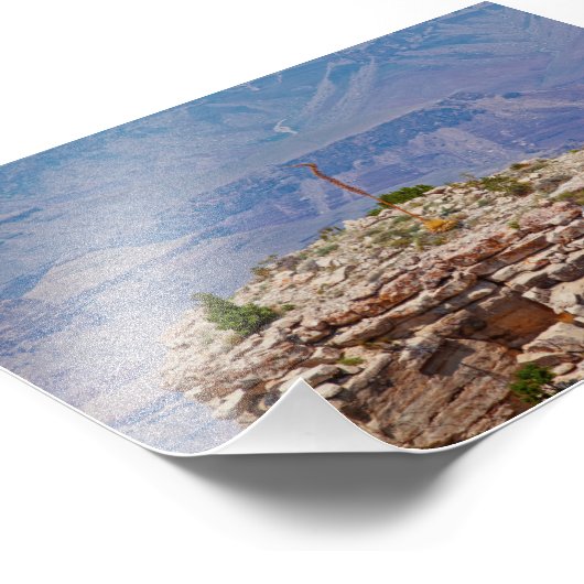 Hoge tuin foto afdruk (Hoek)