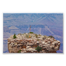 Hoge tuin foto afdruk