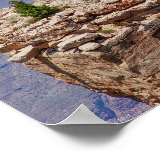 Hoge tuin poster (Hoek)