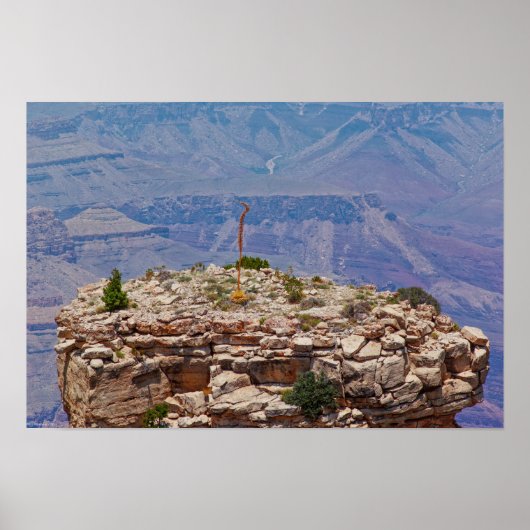 Hoge tuin poster (Voorkant)