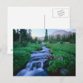 HOGE UINTAS WILDERNESS, UTAH. Stillwater Fork Briefkaart (Voorkant / Achterkant)