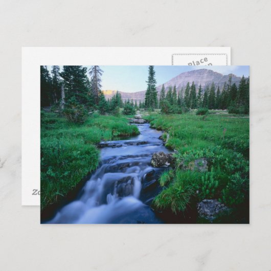 HOGE UINTAS WILDERNESS, UTAH. Stillwater Fork Briefkaart (Voorkant / Achterkant)